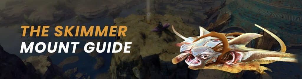 The Skimmer Mount Guide